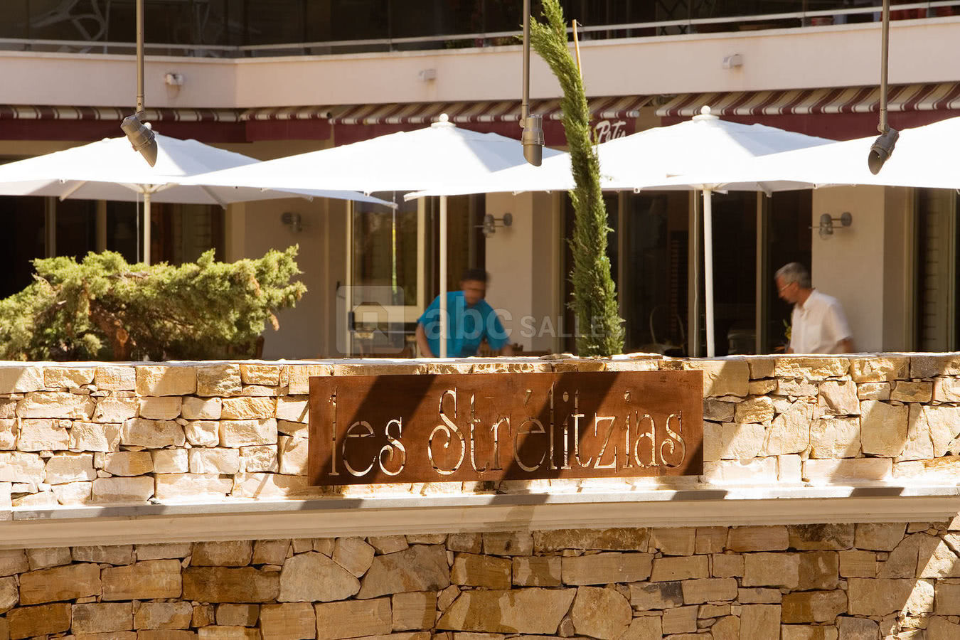 Fontaine strelitzias