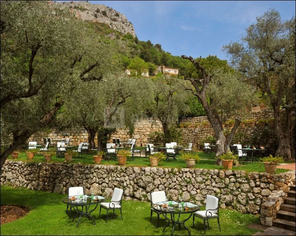 L'oliveraie - restaurant d'été dans le parc