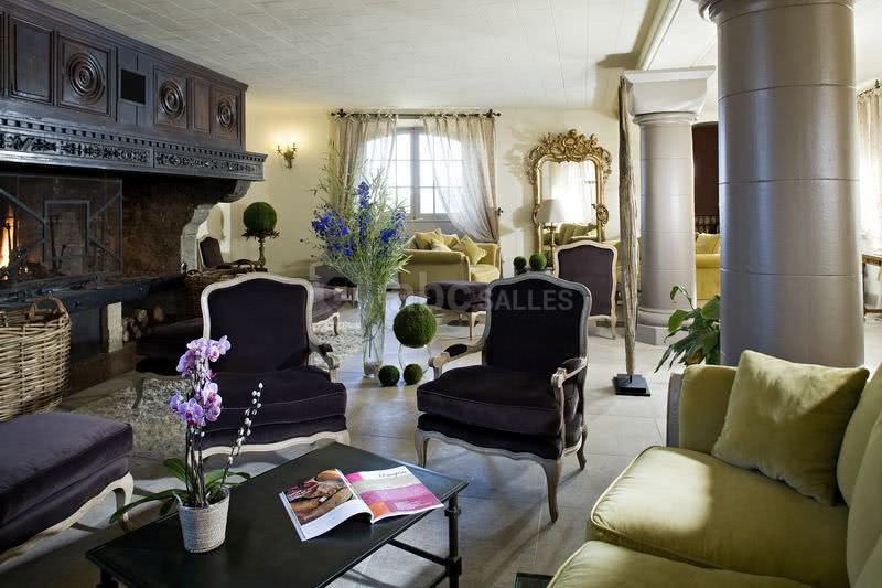 Salon cheminée