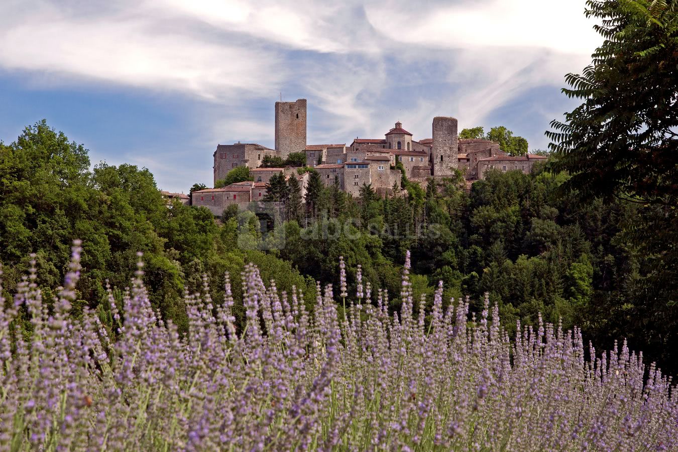 Le panorama depuis le Domaine