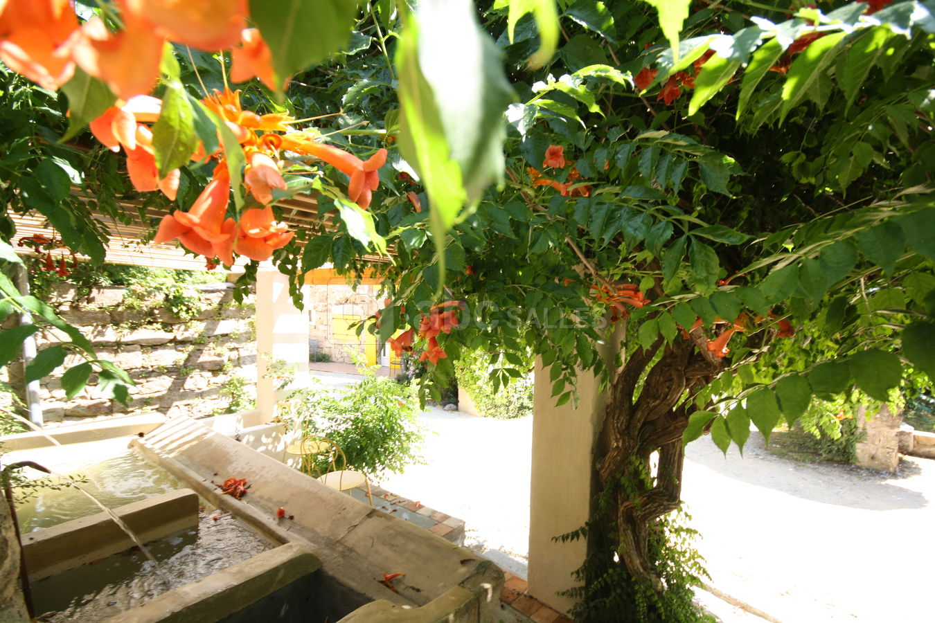 L'ancien lavoir du Domaine