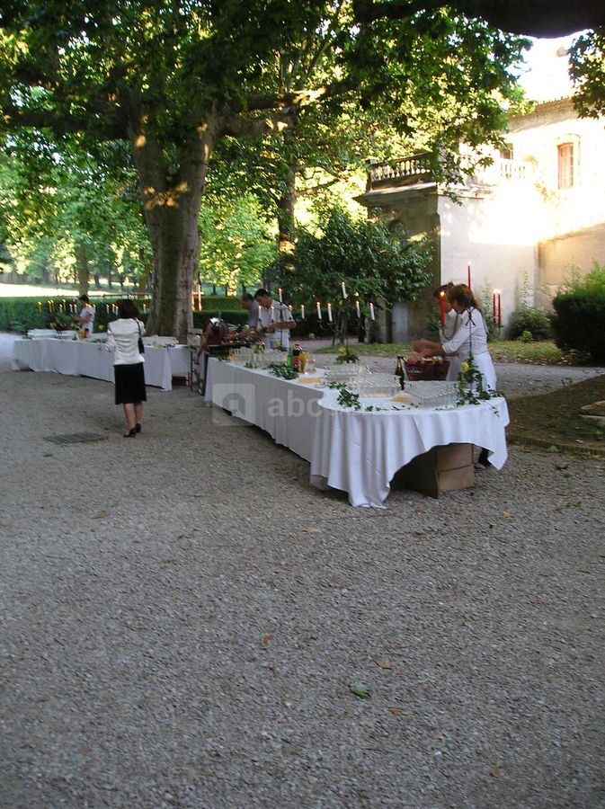 Vin d'honneur sous les platanes