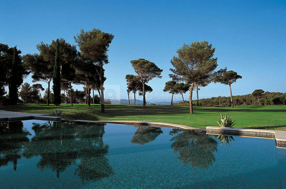 Piscine pins