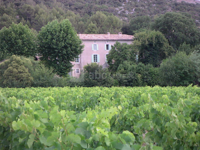 La bastide vue des vignes