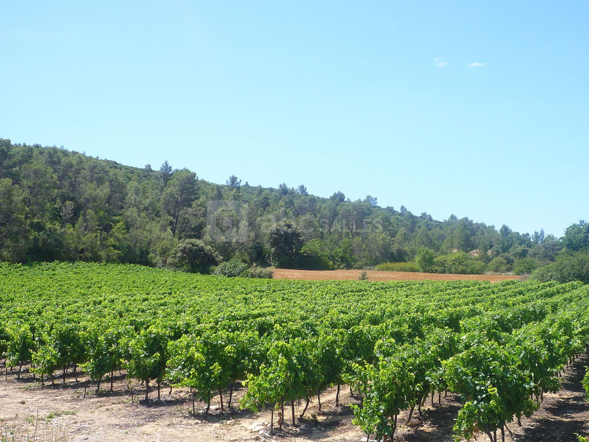 Domaine Sainte Octime