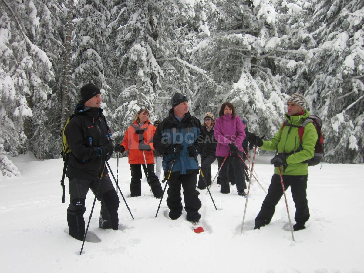 Randonnée raquettes