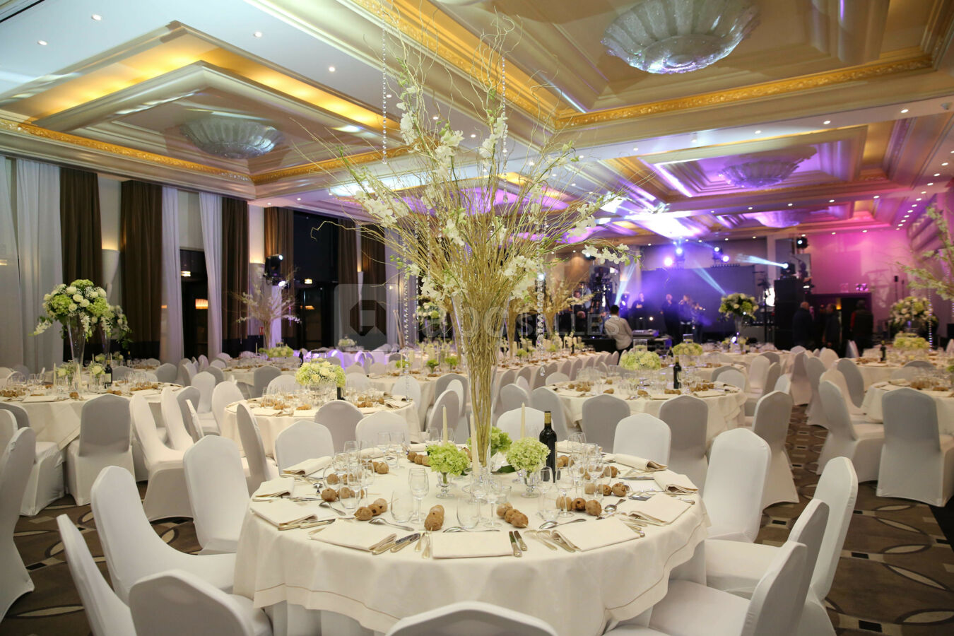 PASINO GRAND / Diner de Gala