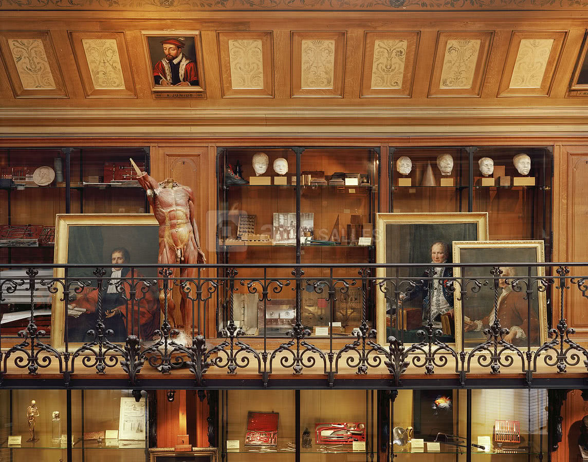 Musée d'Histoire de la Médecine