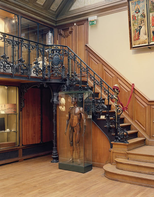 Musée d'Histoire de la Médecine