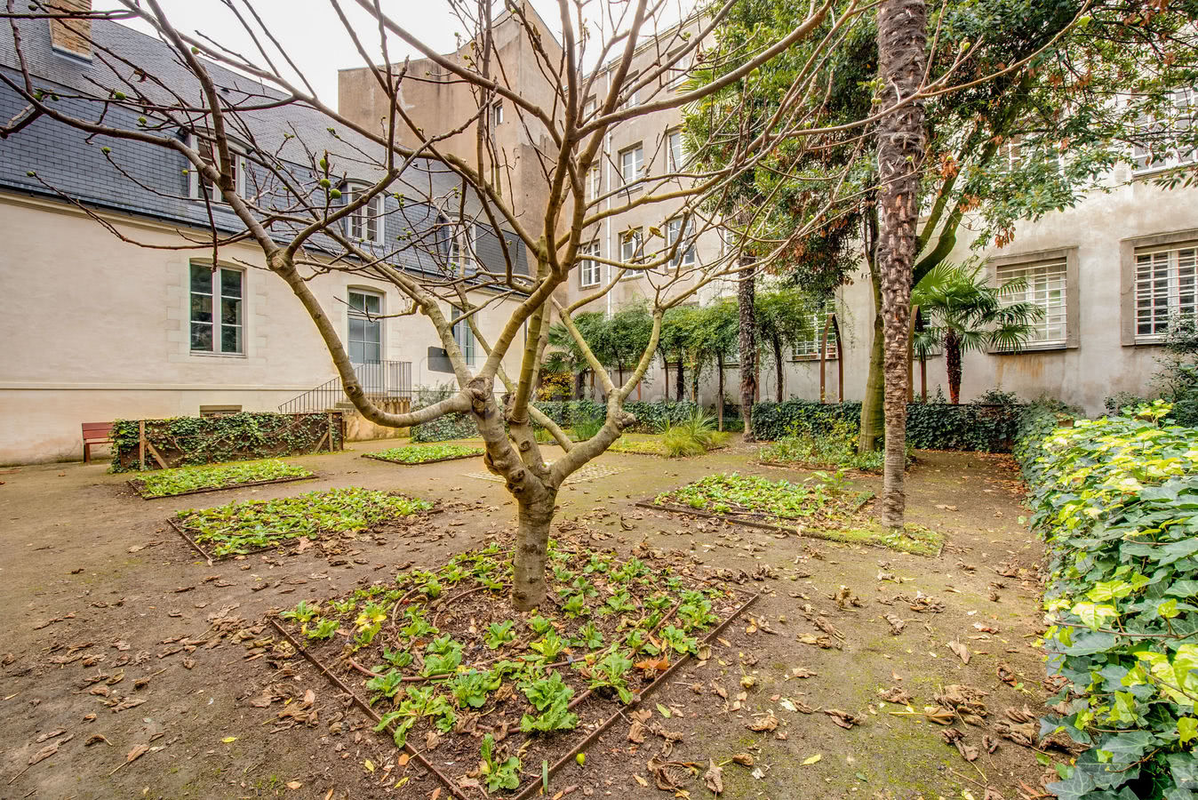 Jardin