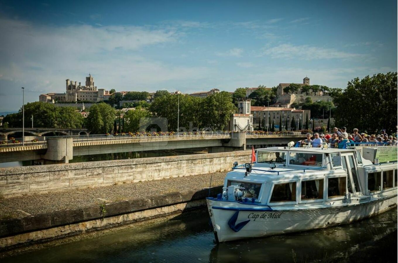 Cap De miol