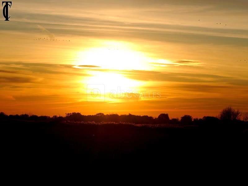 Manade la Vidourlenque