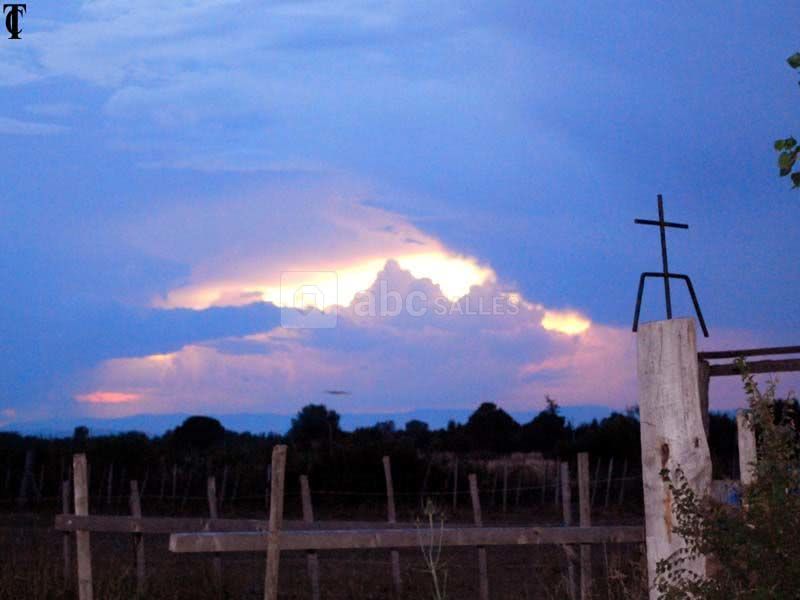 Manade la Vidourlenque