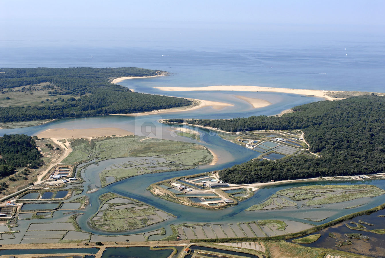 Un environnement privilégié