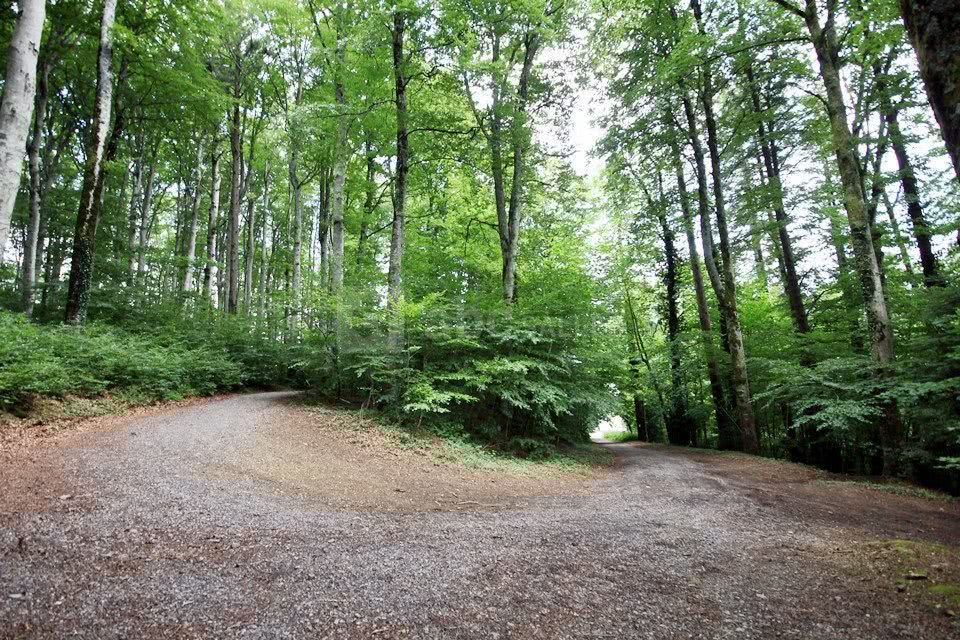 Le Château de Calmels