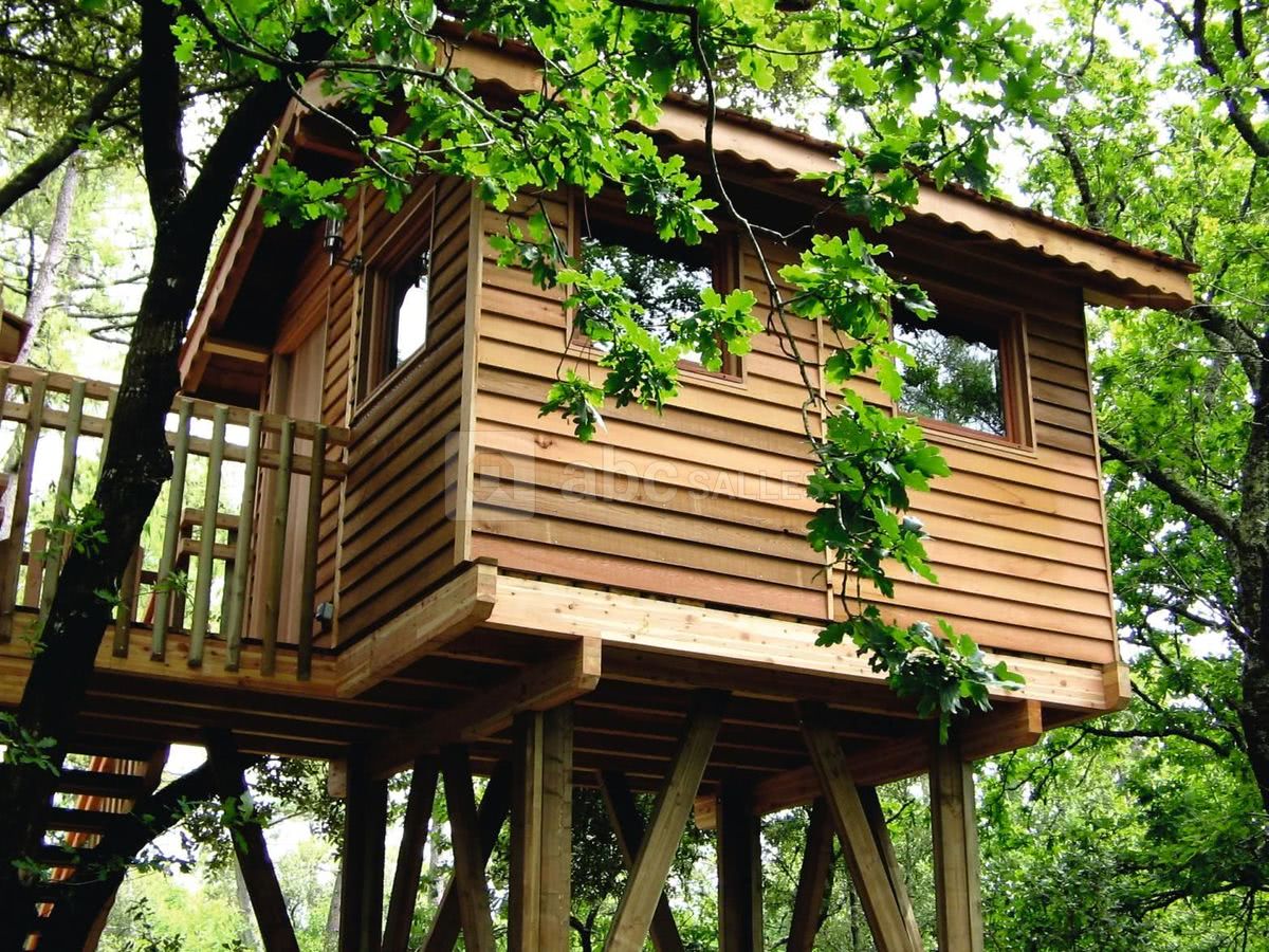 Cabane dans les arbres