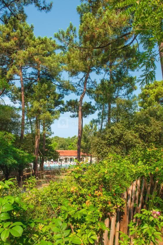 Parc arboré