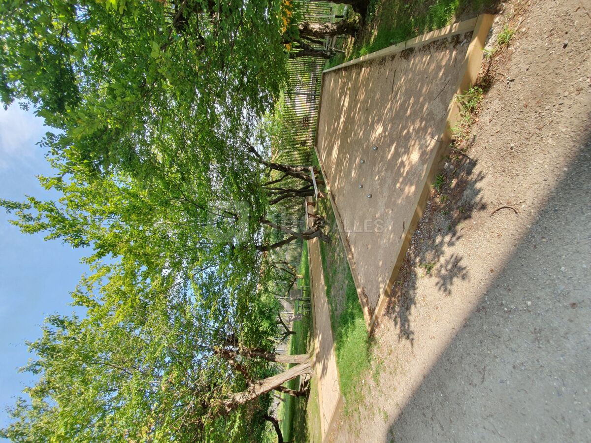 Terrain de pétanque