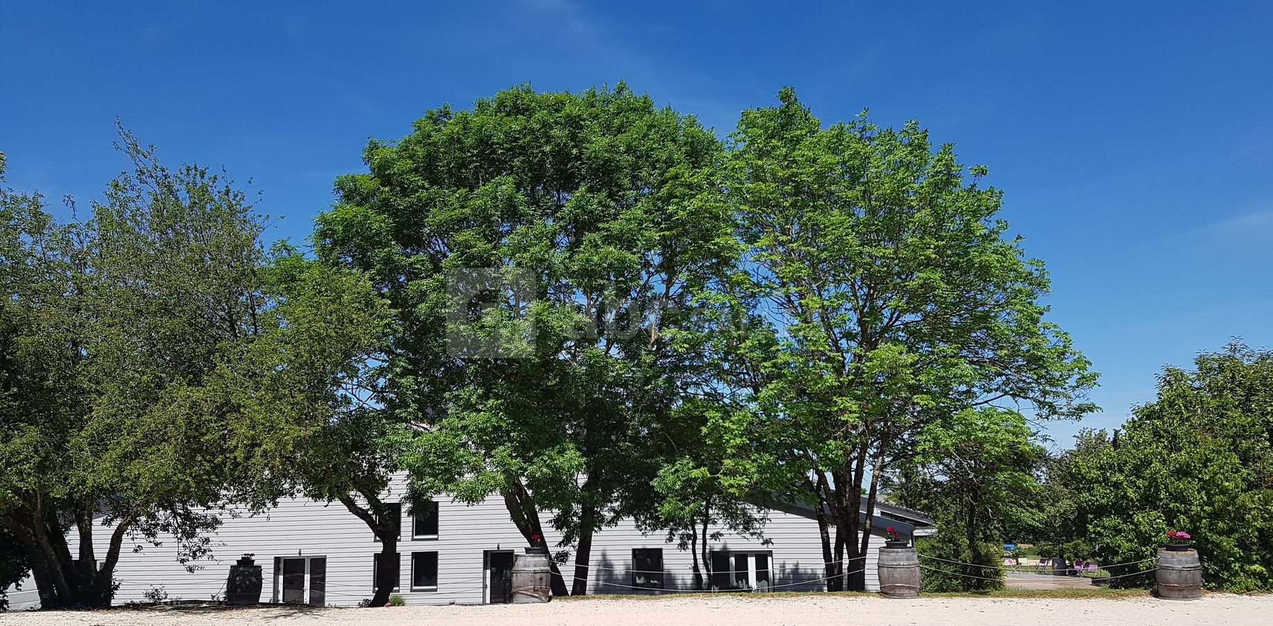 Domaine la Combe d'été