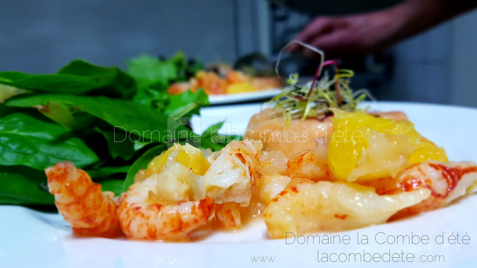 Domaine la Combe d'été