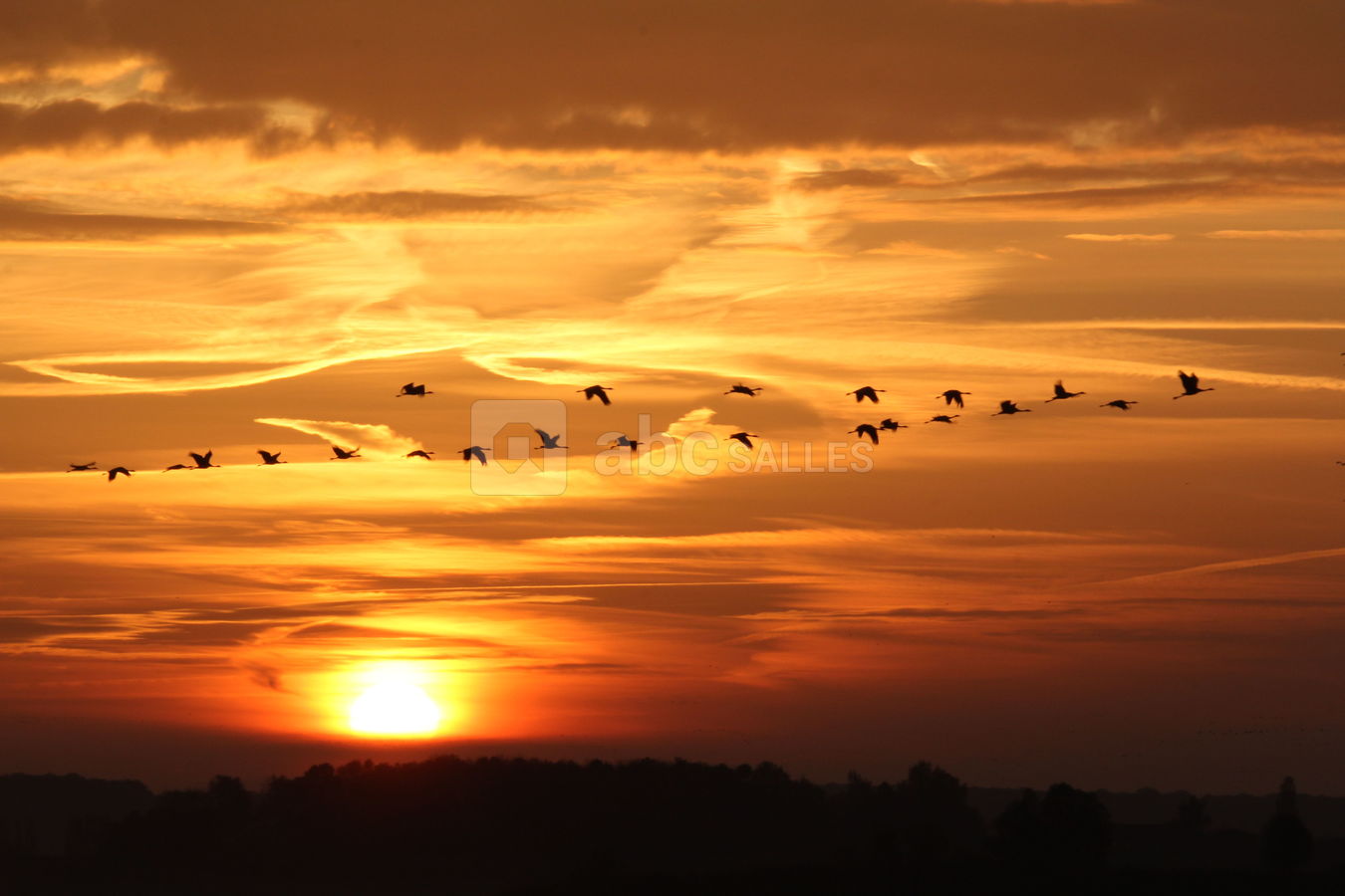 ... au crépuscule