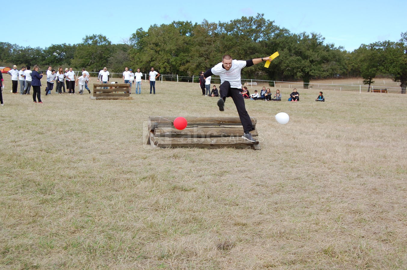 Le Pôle du Cheval et de l'Âne