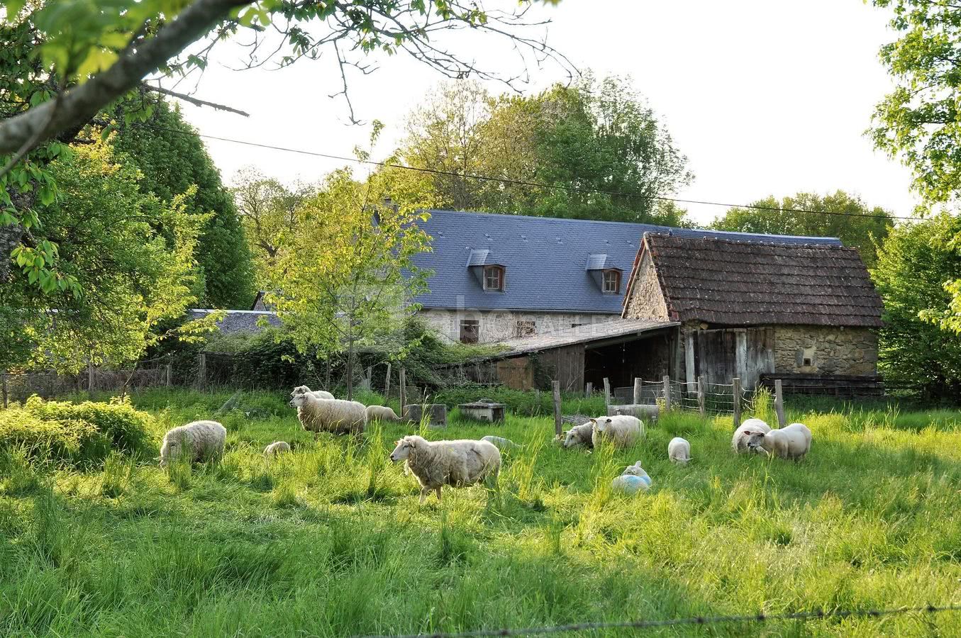 Green Camp d'Octavie