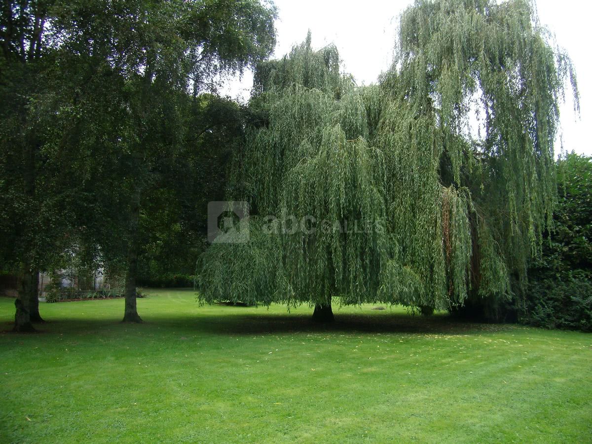 Château de Luzigneul