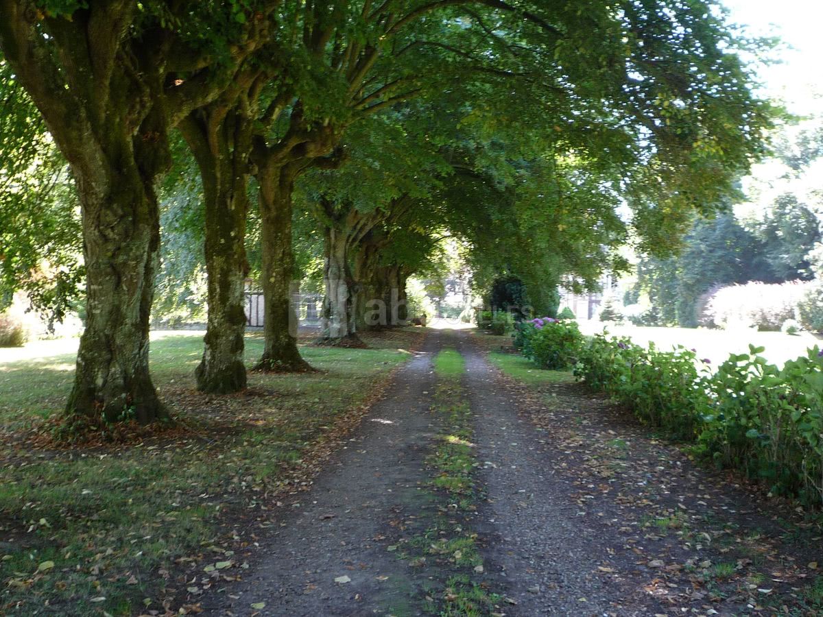 Château de Luzigneul