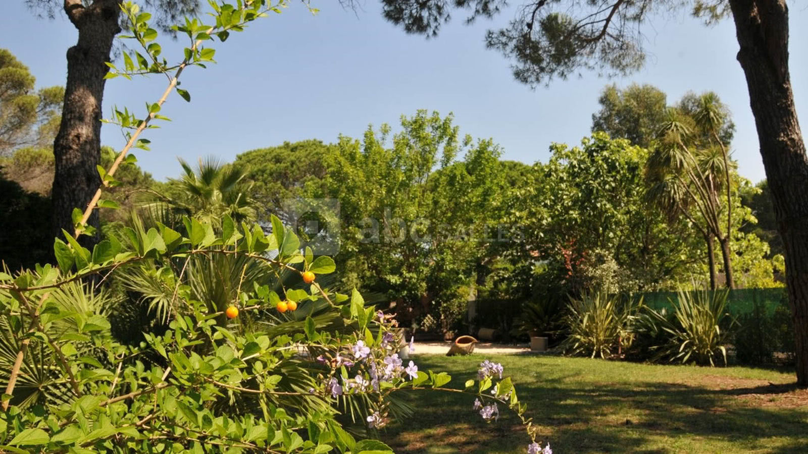 Le Jardin Zen pour votre Cérémonie, cocktail, Brunch, ...