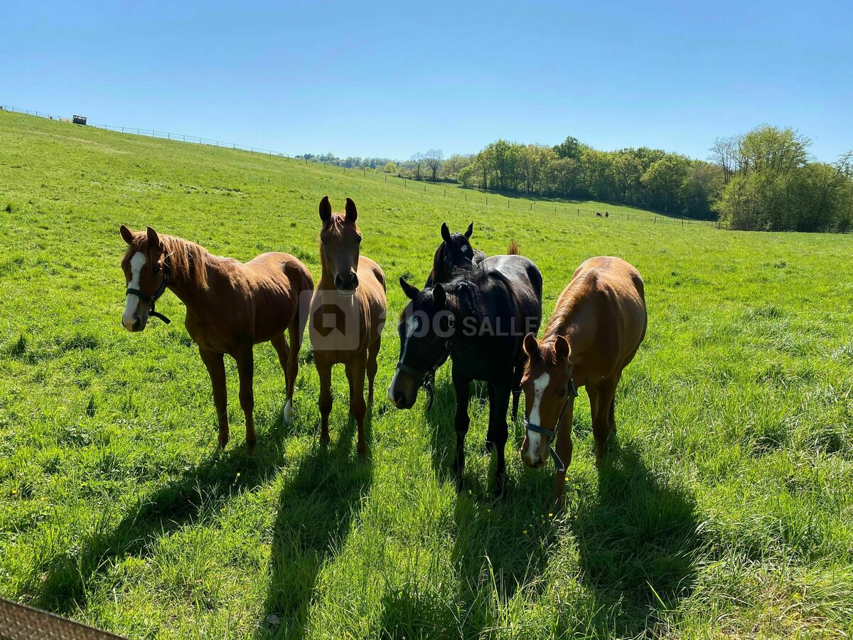 Salle de réception 47