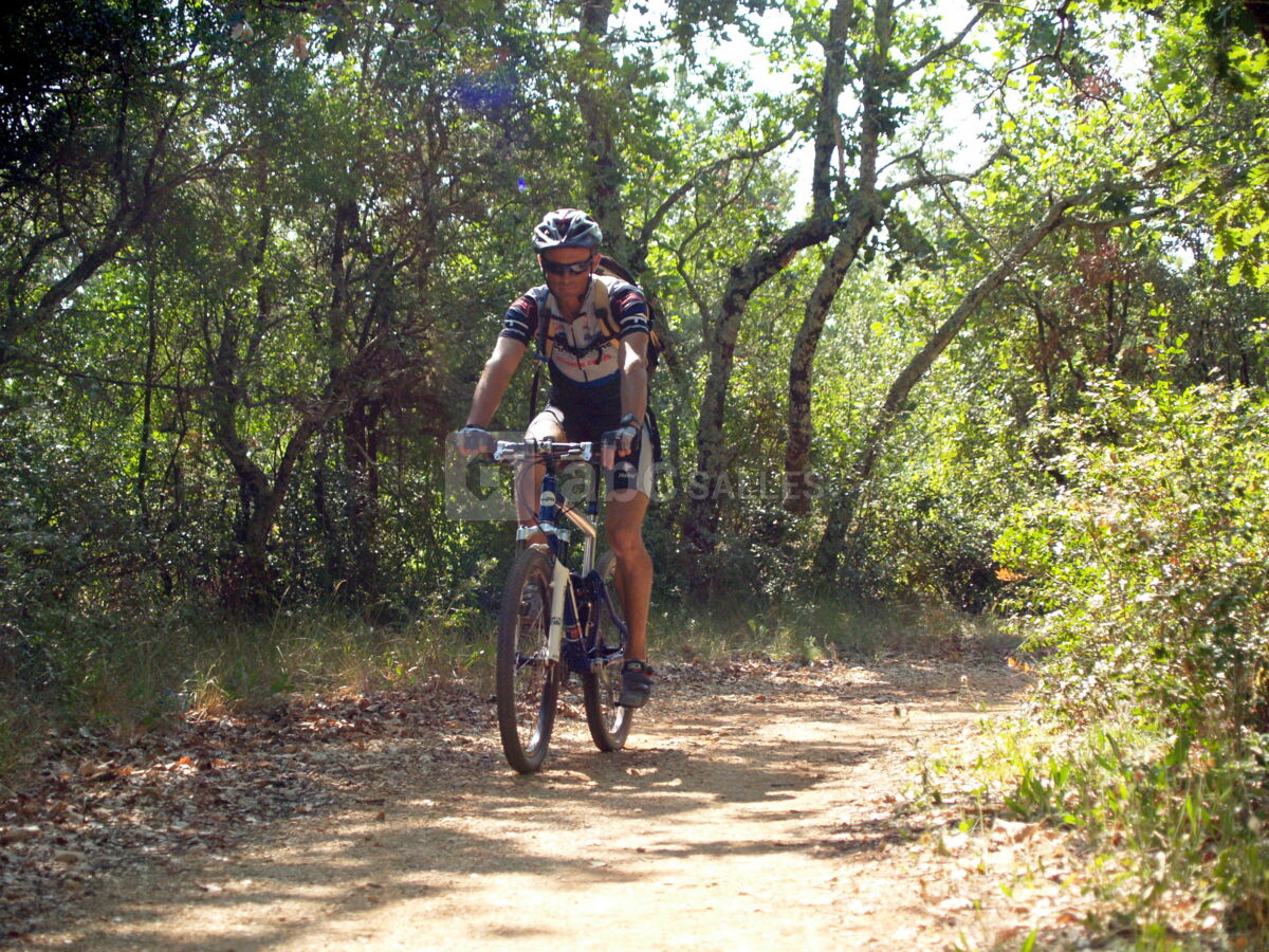 Activité VTT