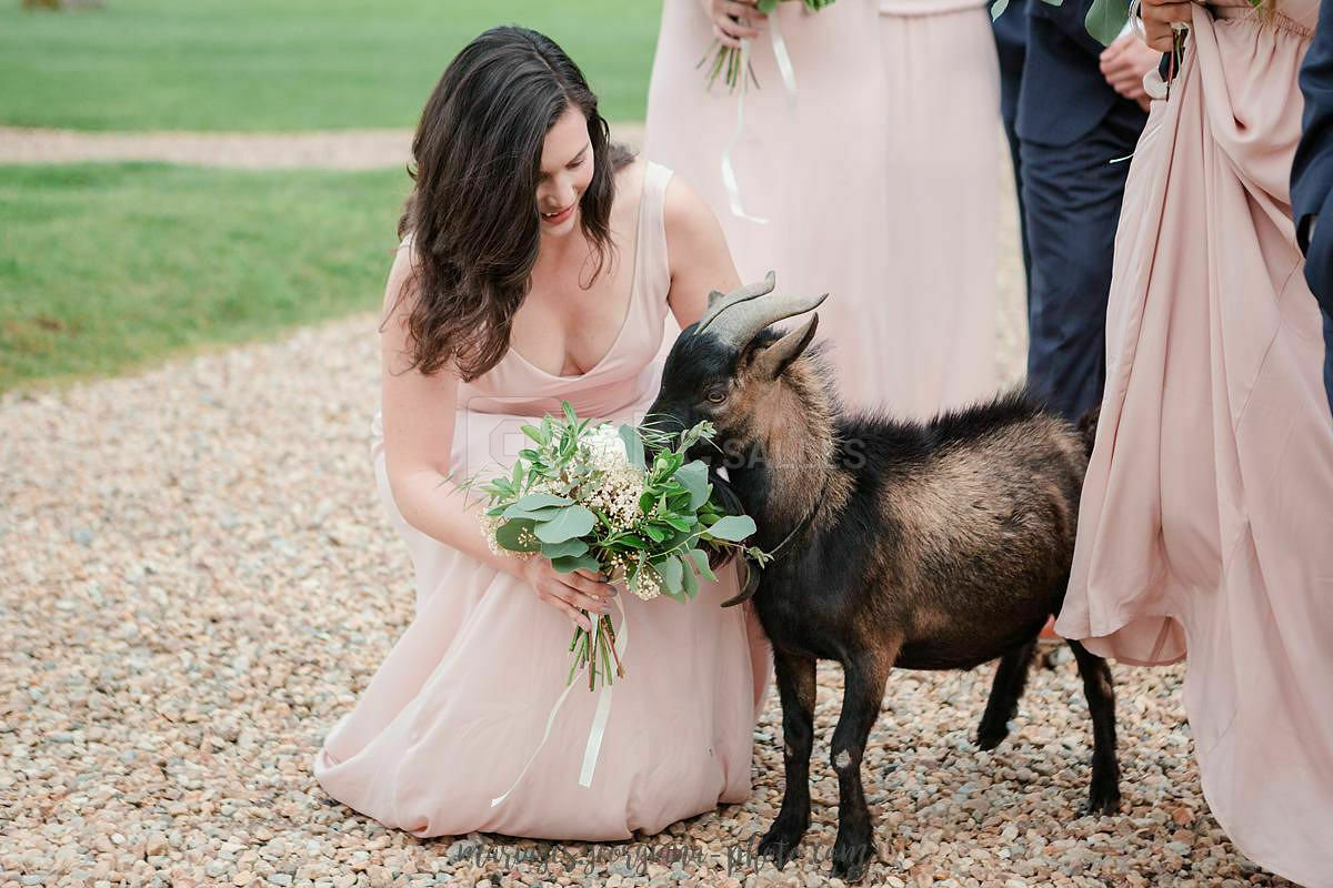 Château Barthélemy