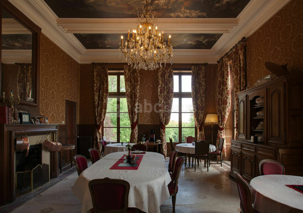 Château de la Plaudière