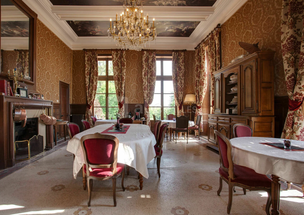 Château de la Plaudière