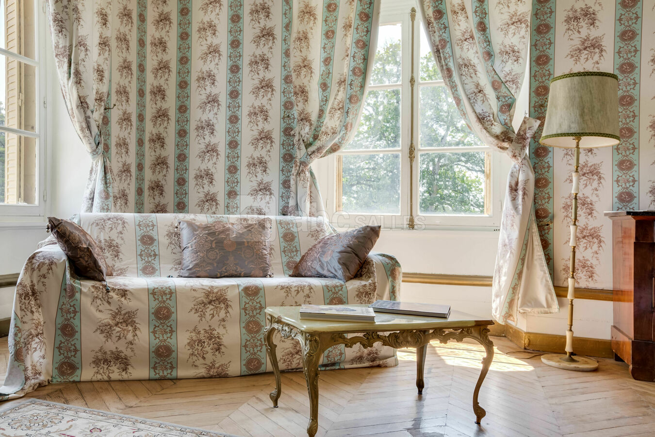 Château de la Plaudière