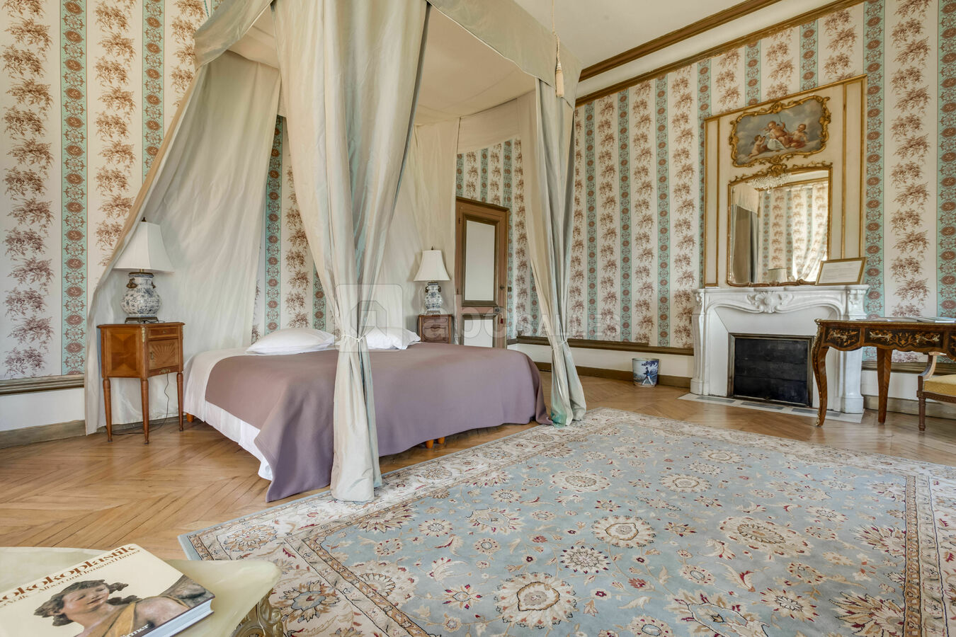 Château de la Plaudière