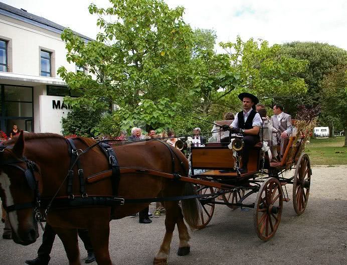 Arrivée au domaine en calèche