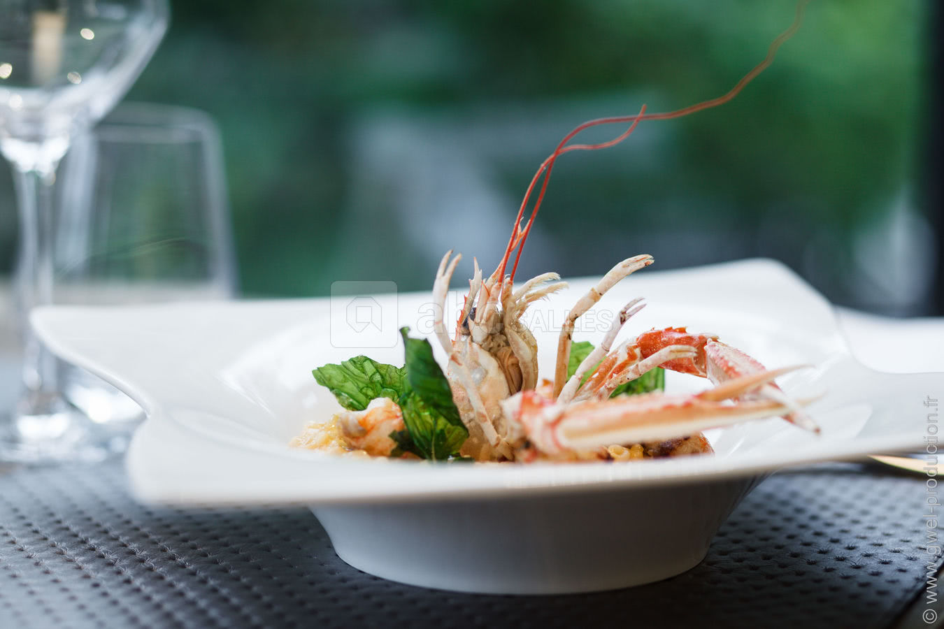 Plat de L'Ermitage