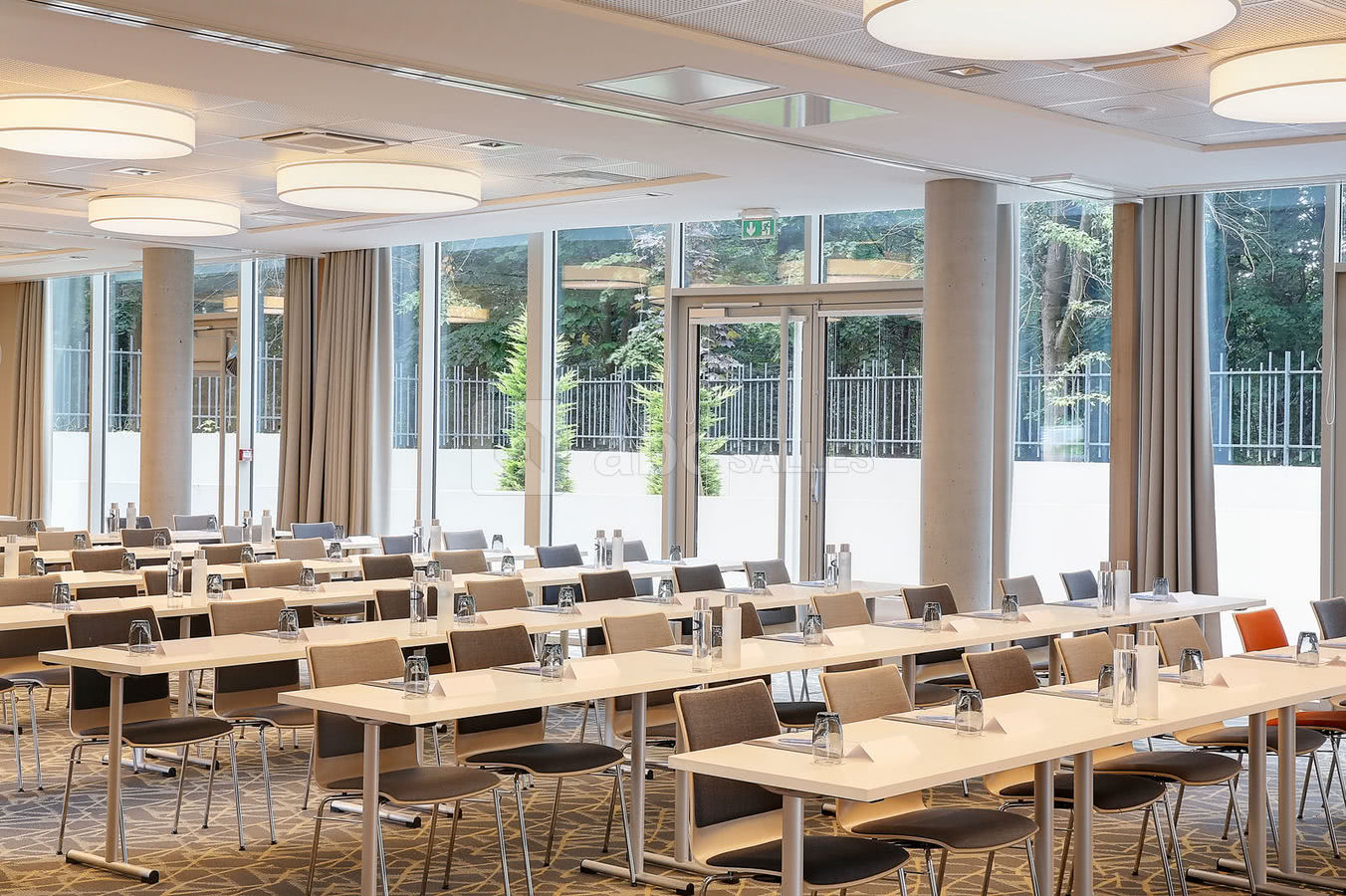 Salle plénière la forêt en classe