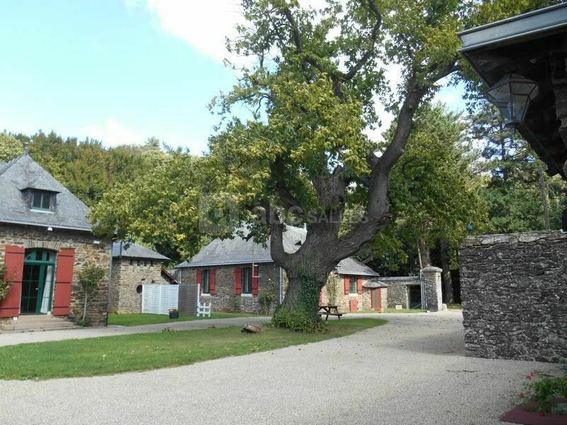 L'allée principale et les gîtes