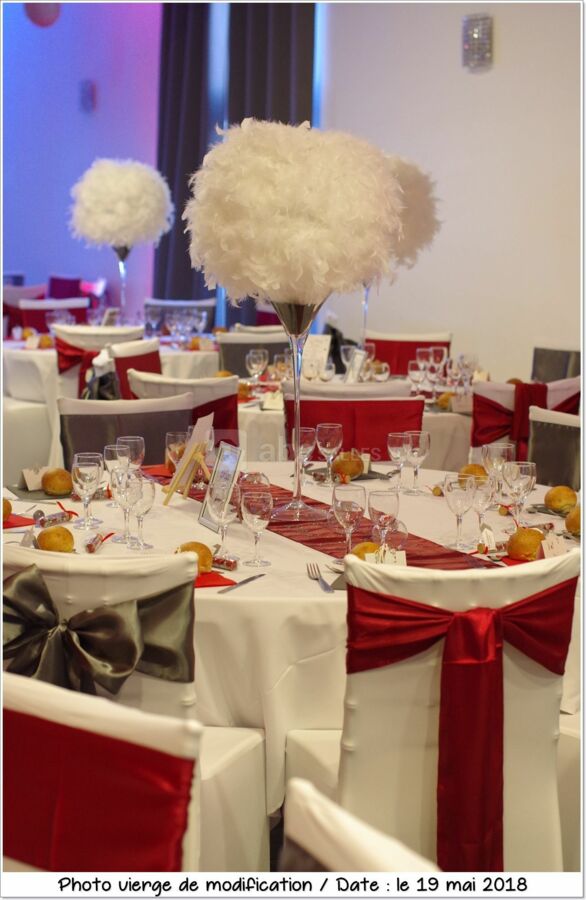 Salle de reception 77 Mary d'Arvigny LE PATIO 160 pers