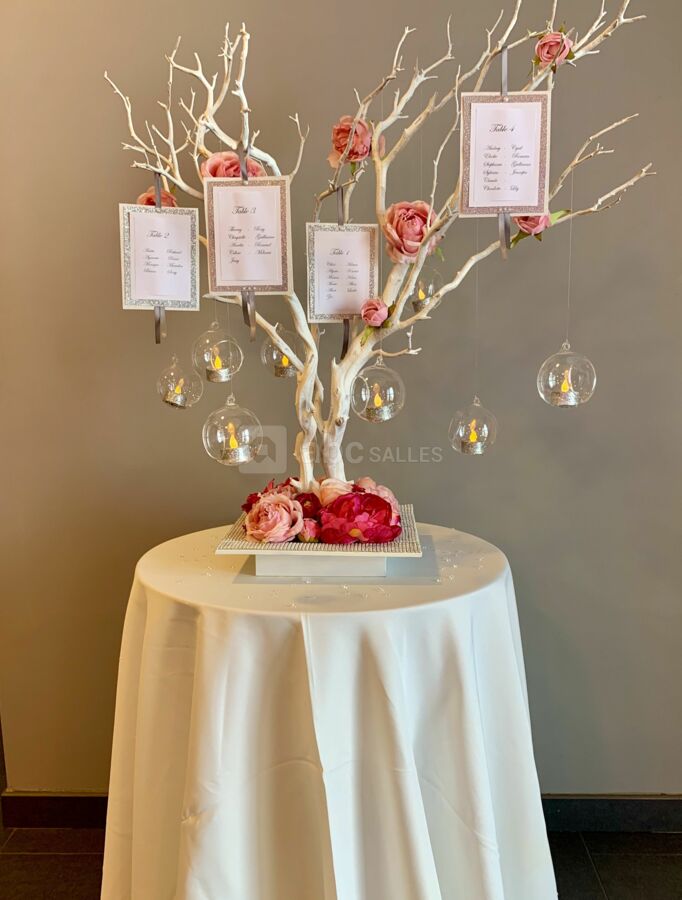 Salle de reception 77 Mary d'Arvigny La cosy