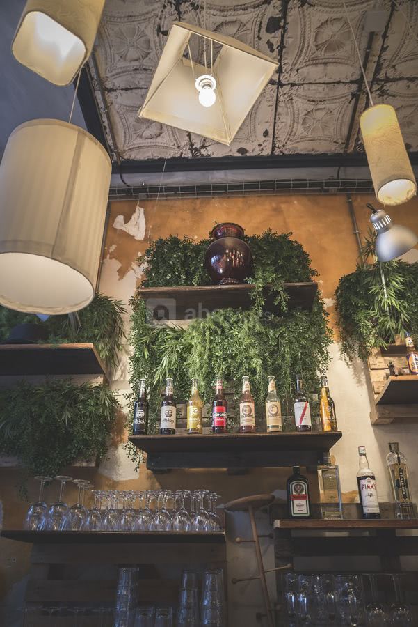 Gamme de sodas BIO allemands