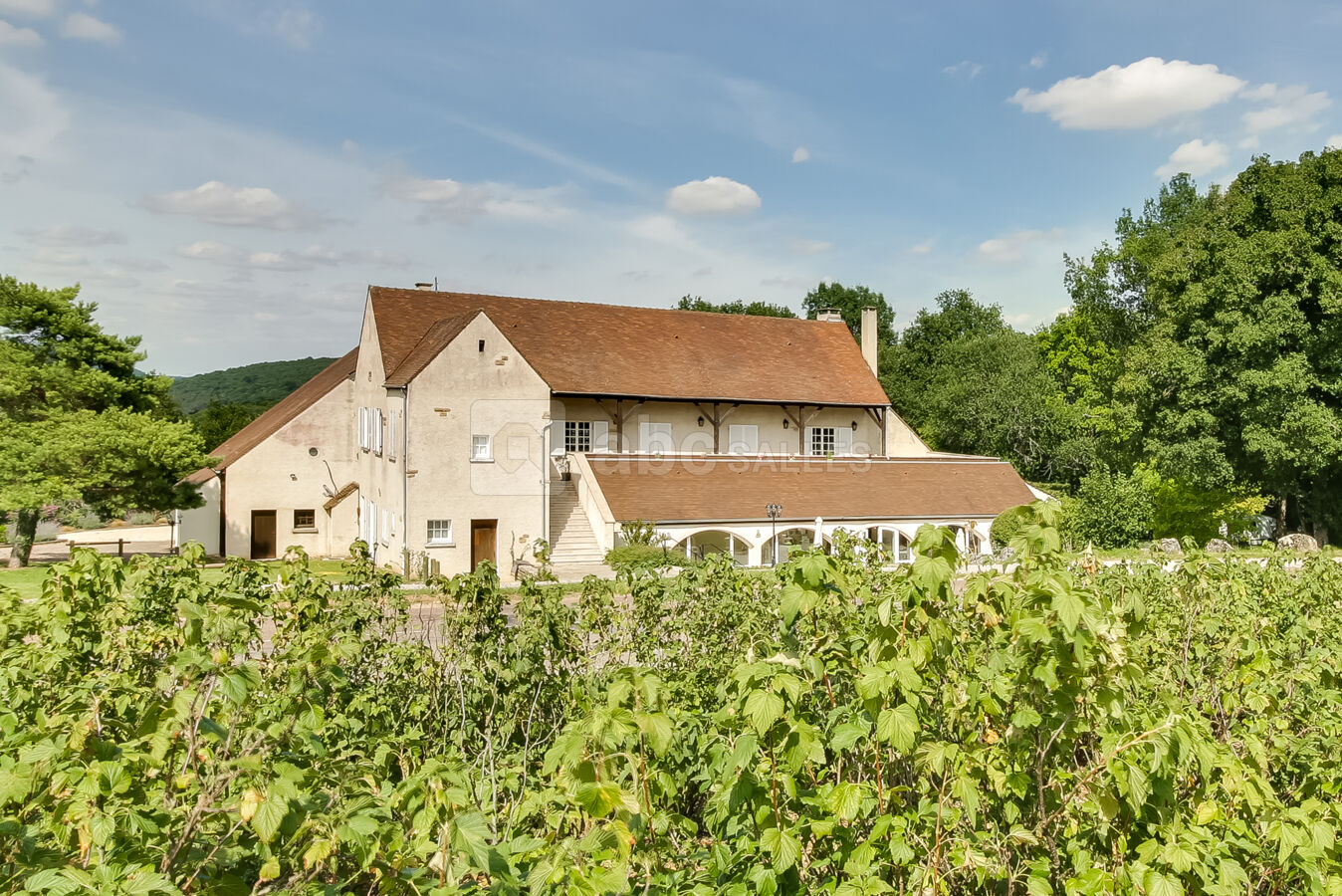 Le Carré Saint Pierre vu des vignes