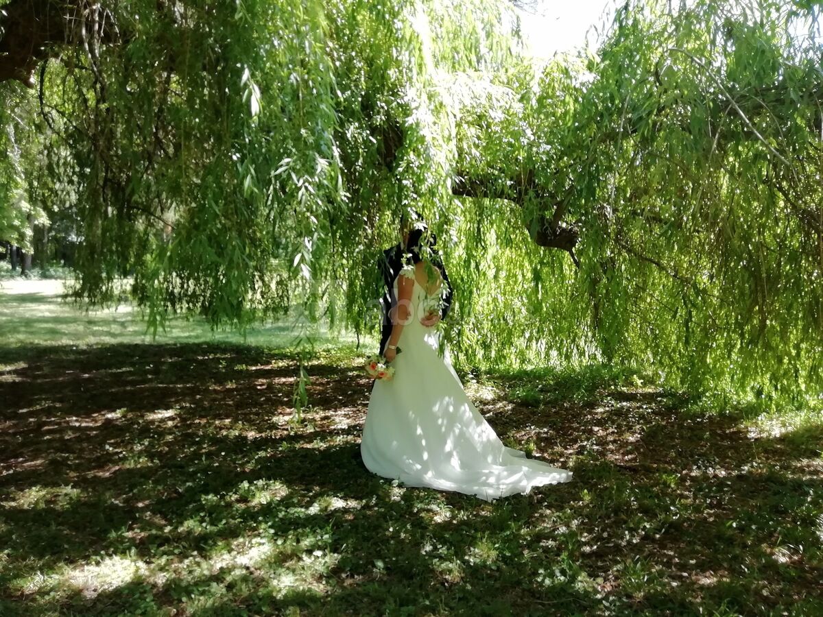 MARIÉS SOUS LE SAULE