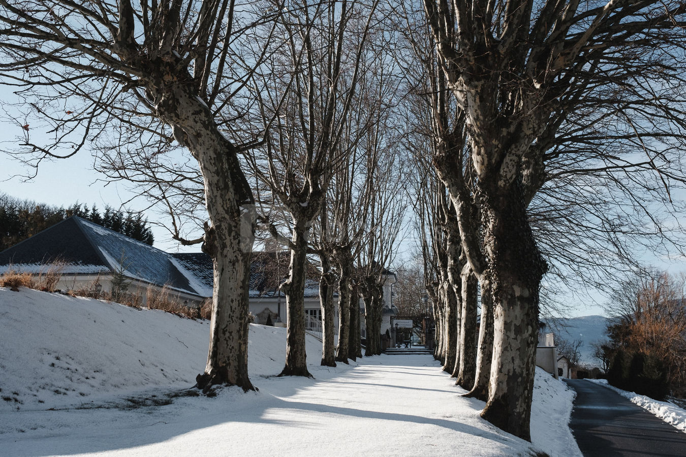 L'hiver au Domaine