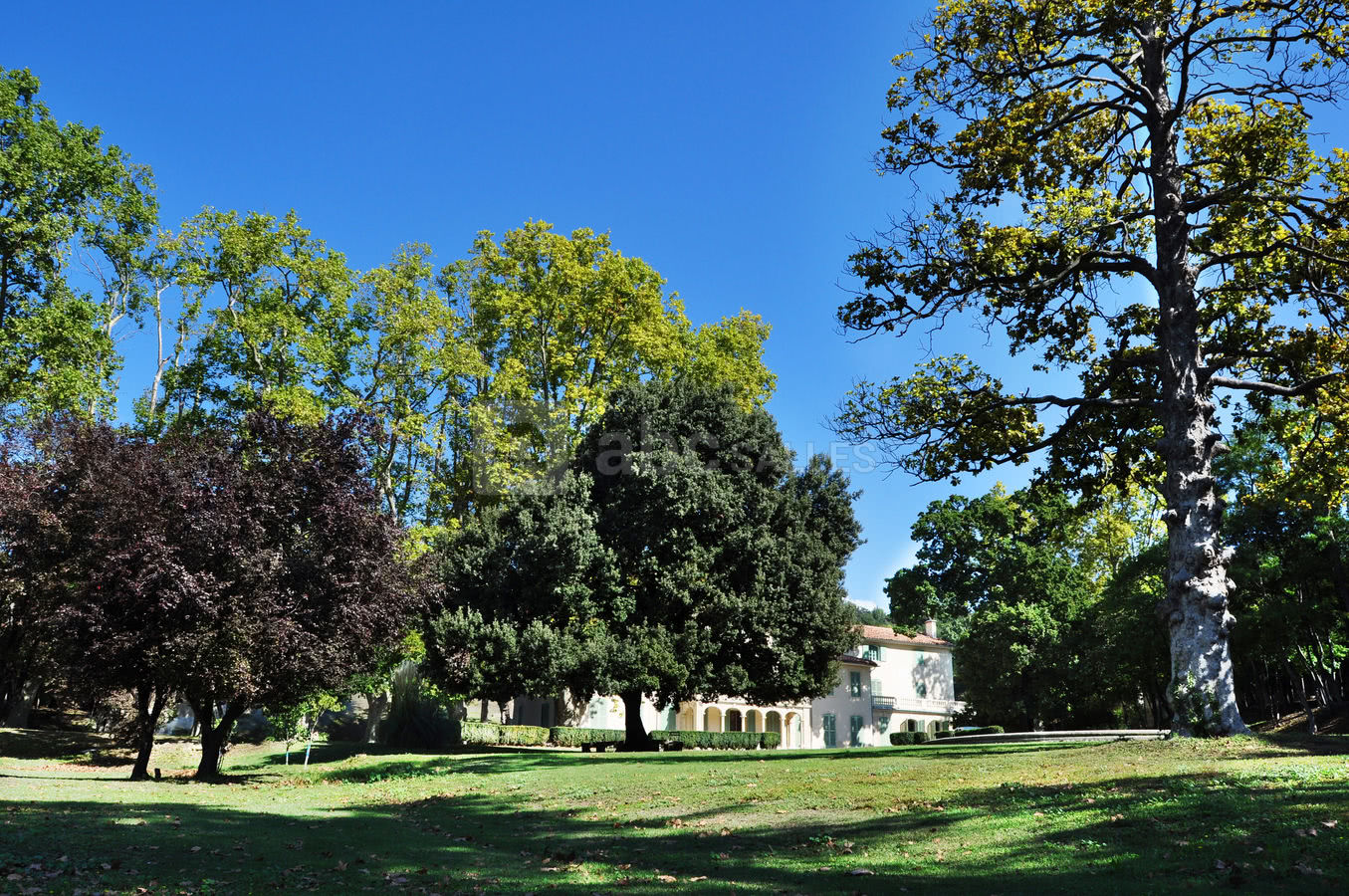 Parc