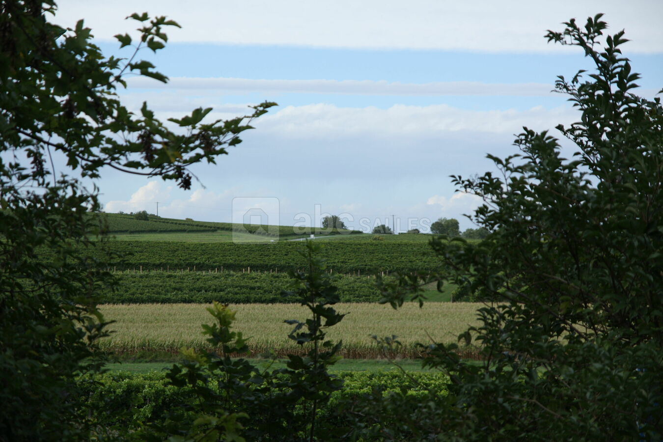 Vue depuis le site