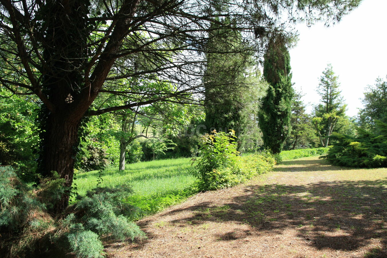 Parc